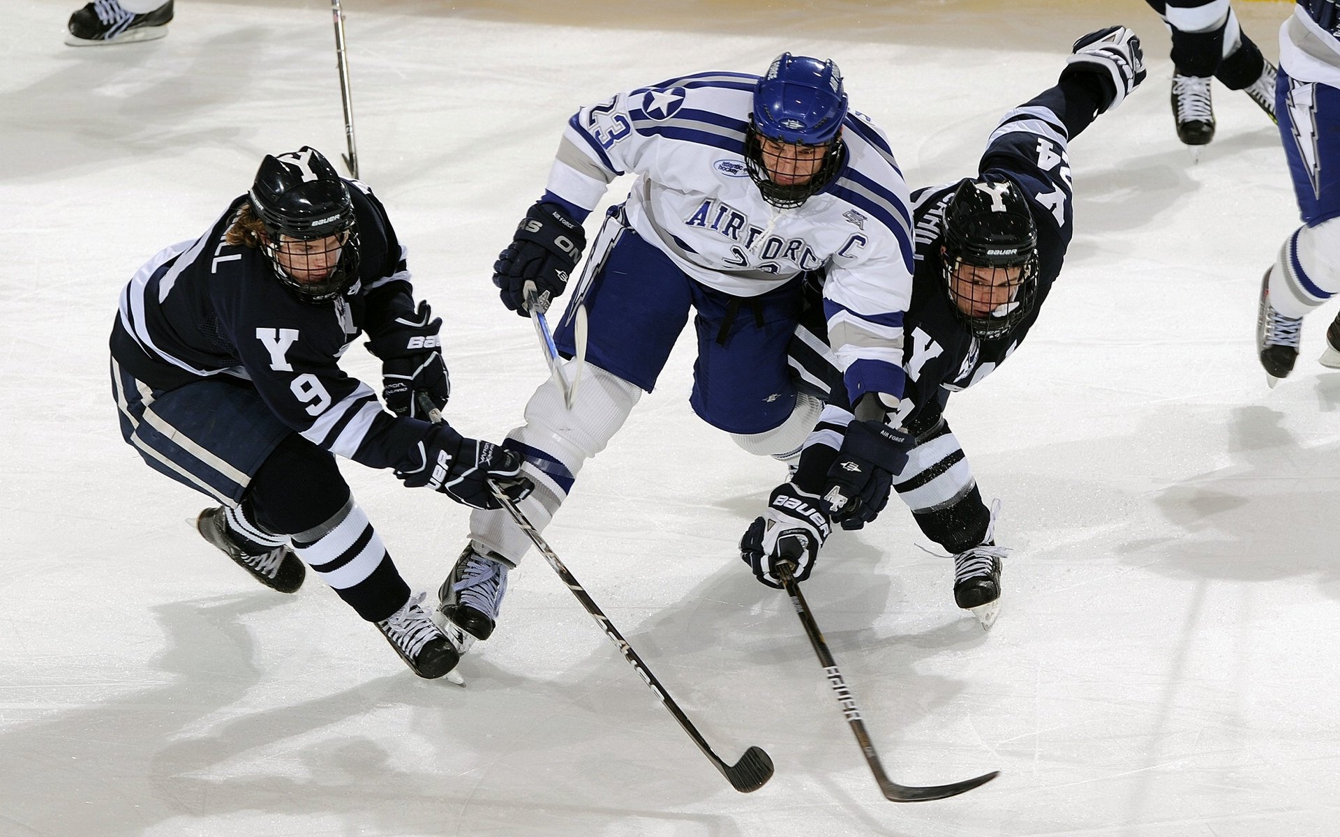 羽毛球教练研讨会聚焦选材与培训体系，羽毛球比赛教练